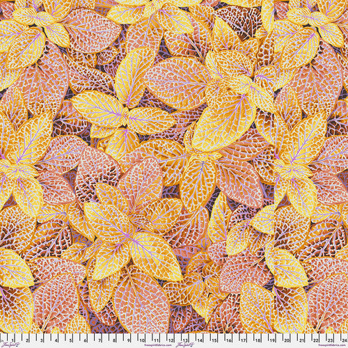 Free Spirit Fabrics Philip Jacobs PWPJ129 Fittonia Gold