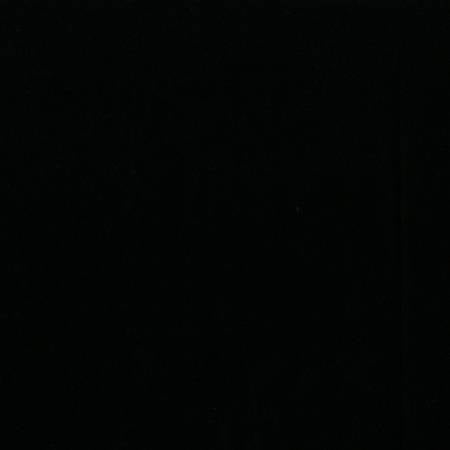 Michael Miller Cotton Couture Black SC5333-BLK